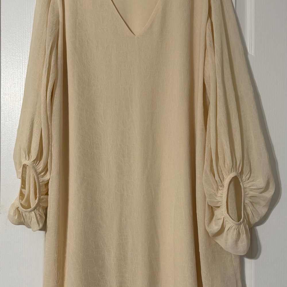 Entro Cream V-Neck Dress with Balloon Sleeves